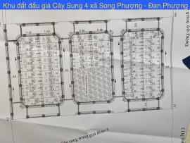 Thửa H2 đất đấu giá Cây Sung 4 xã Song Phượng huyện Đan Phượng