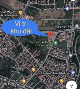 A9 khu Trục đường N1 xã Hạ Mỗ huyện Đan Phượng TP Hà Nội